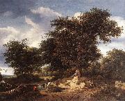 Jacob van Ruisdael The Great Oak painting